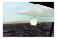 The Falklands War The Falklands War