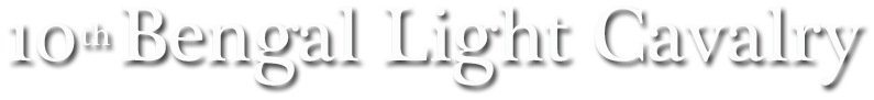 10th Bengal Light Cavalry