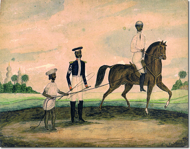 Click for Larger Resolution Image