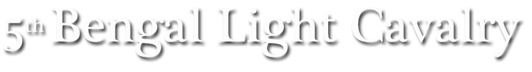 5th Bengal Light Cavalry