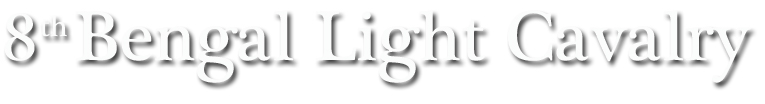 8th Bengal Light Cavalry