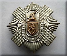 Badges