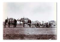 Charles Orr's Memoirs Charles Orr's Memoirs'