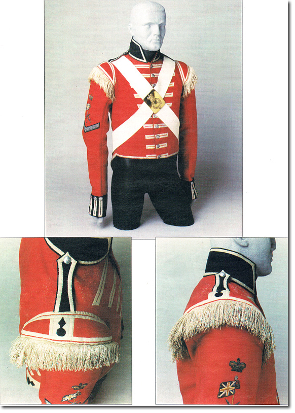 Click for Larger Resolution Image