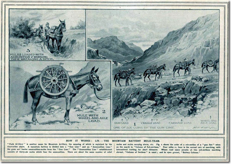 Click for Larger Resolution Image
