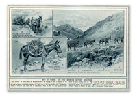 Charles Orr's Memoirs'