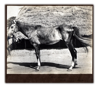 Charles Orr in Colonial Nigeria