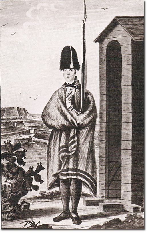 Light Company Officer 1771