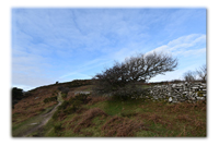 Dr Blackall’s Drive