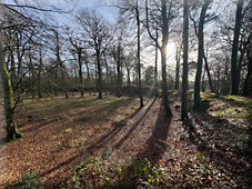 Woodbury: A Village at the Crossroads of Empire, Faith and History