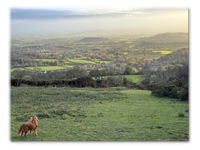 Wookey Hole: From Industrial Echoes to Mendip Horizons