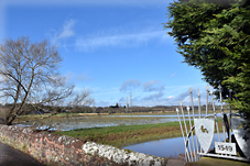 Clyst St Mary: The Ancient Bridge Worth Fighting For