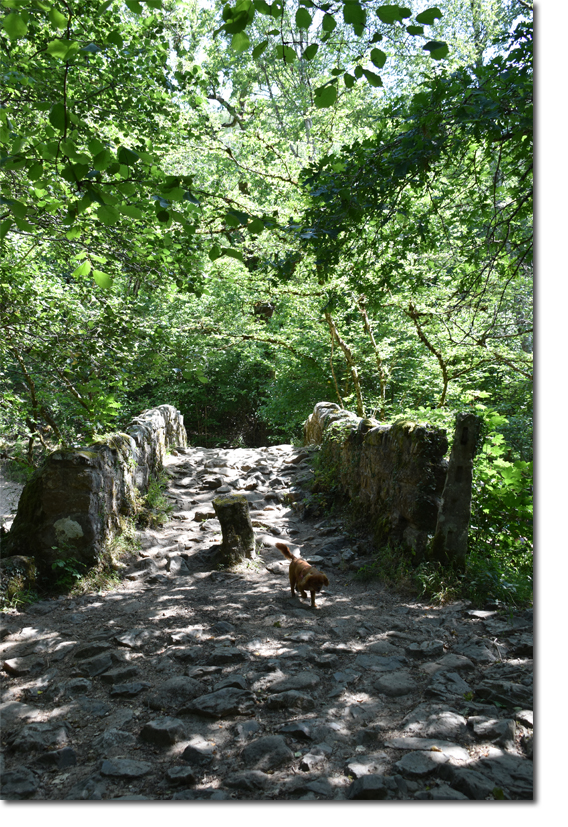 Hisley Packhorse Bridge