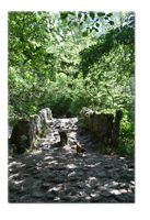 Hisley Packhorse Bridge