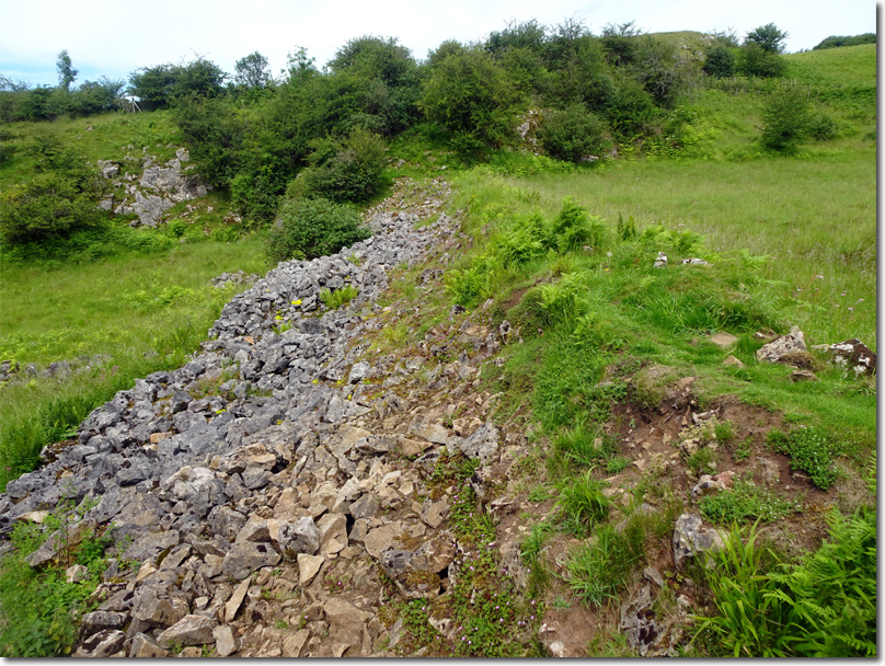 Lead Mining at Velvet Bottom