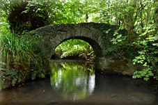 St Thomas, St Leonard's and the Kensey Valley